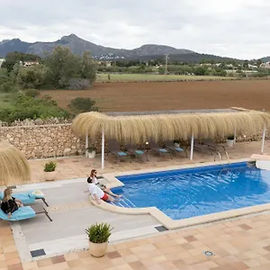 https://villa-mestral-alcudia-mallorca.allmallorcahotels.com